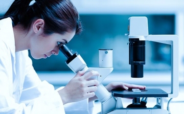 Vérlemezkéket gyártó őssejtet növesztettek laboratóriumban brit kutatók