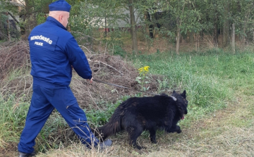 Simán lebuktatta a betörőt a rendőrkutya