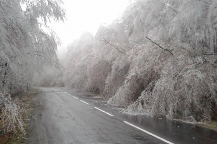 Jéggé fagyott fák miatt kritikus a helyzet az utakon